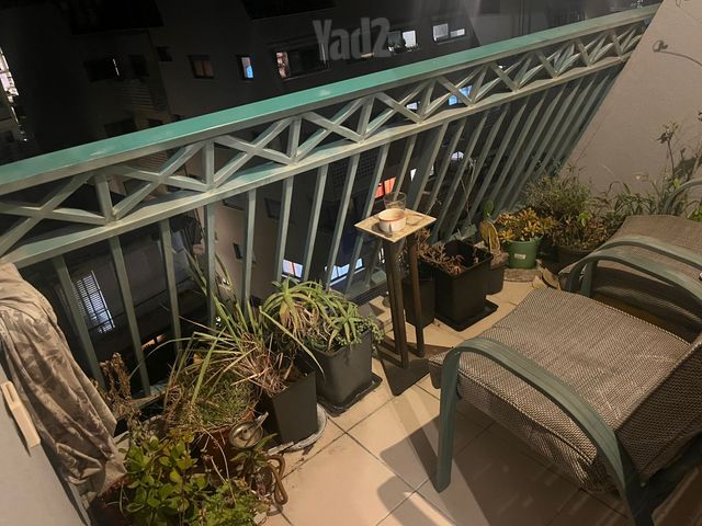 דירה להשכרה בתל אביב יפו — 5