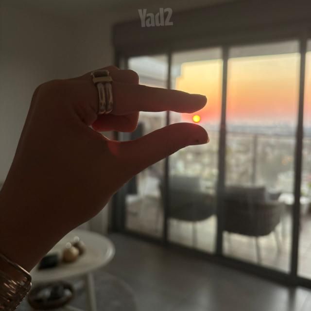 תל צבי 57
