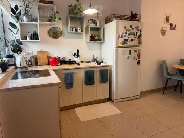 נוף הרים 65
