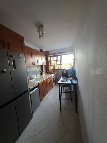 אהרון צייטלין 17