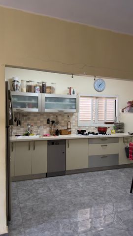 מוהליבר 28