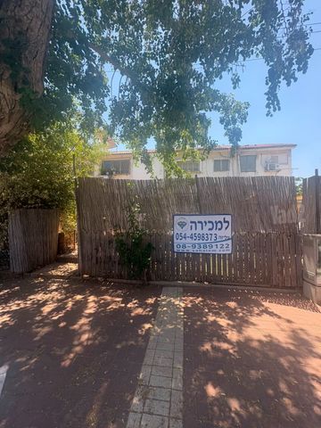 הבנים 