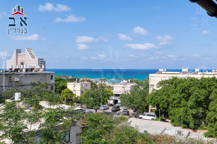 נווה דוד