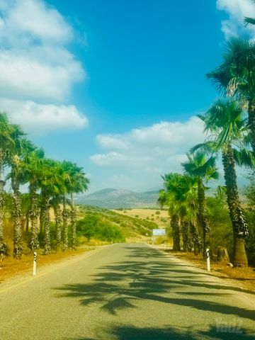 מגרשים, לבנים, לבנים