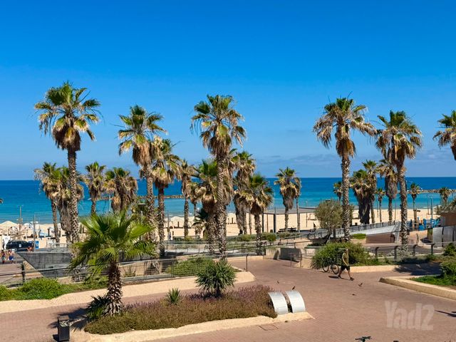 דירת גן, לב תל אביב, לב העיר צפון, תל אביב יפו