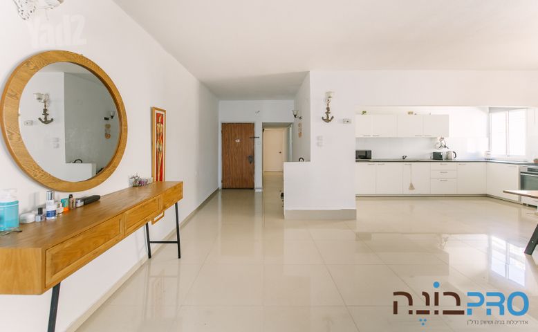 דוד וולפסון 