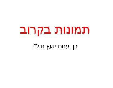 נרקיסים