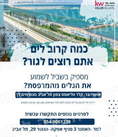 בן יהודה 