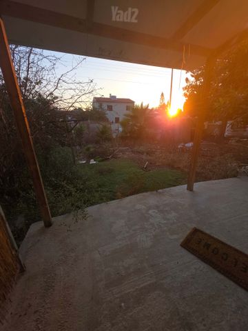 ארז 