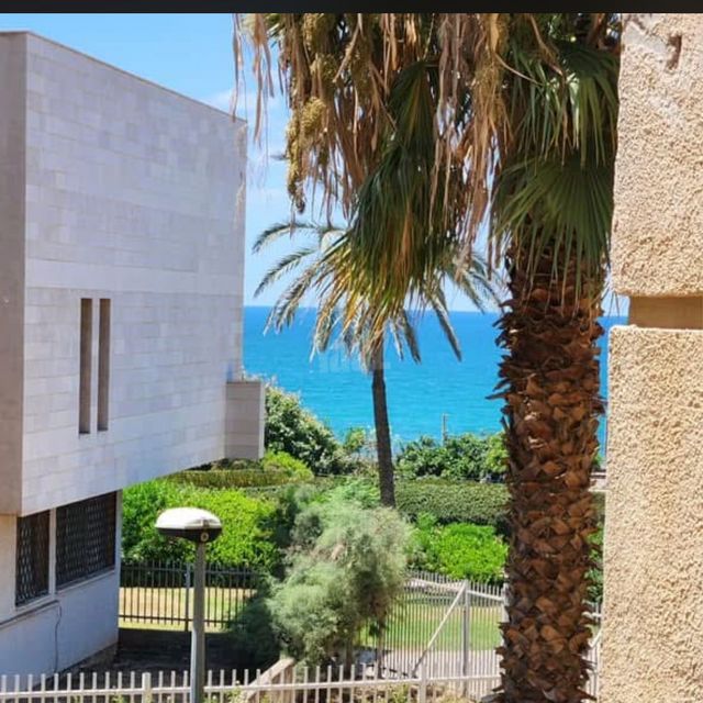 סעדיה פז 