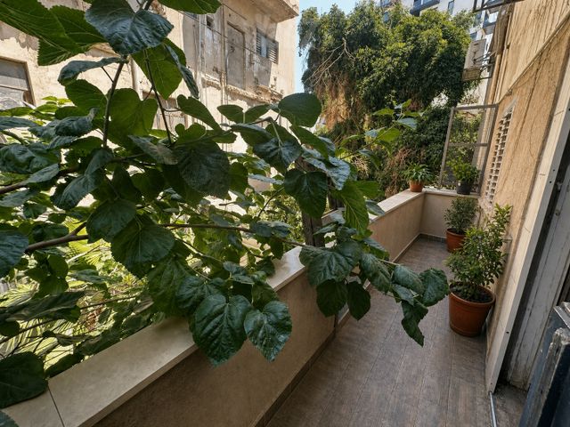 דירה להשכרה בתל אביב יפו (תיווך) — 2