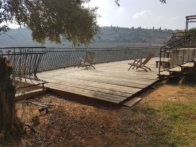 הגפן 34
