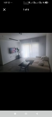 טורקיז 5