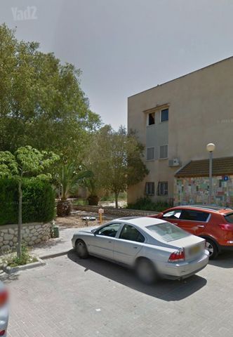 האורן 7