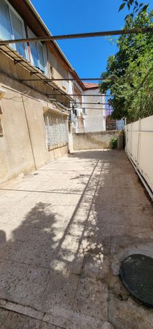 טורי זהב 2