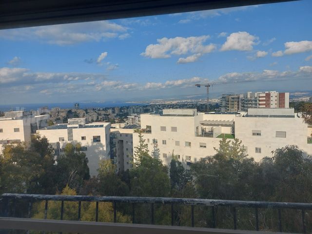 זלמן שניאור 16