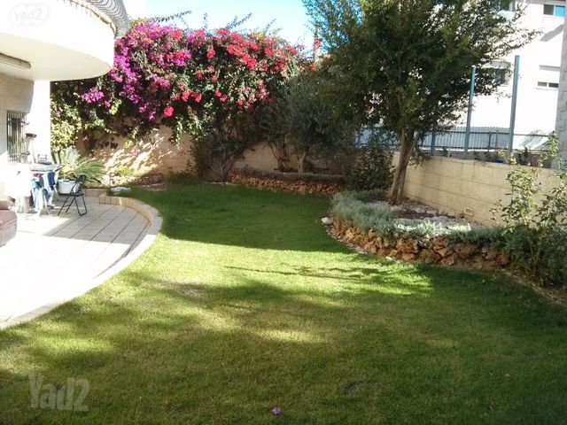 רקפת 1