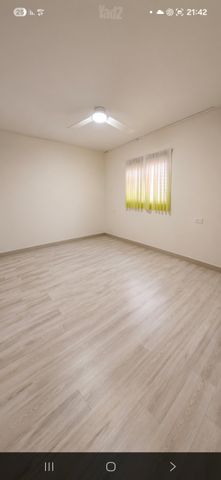 דירת גן להשכרה בתל אביב יפו — 4