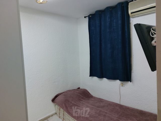האמוראים 8