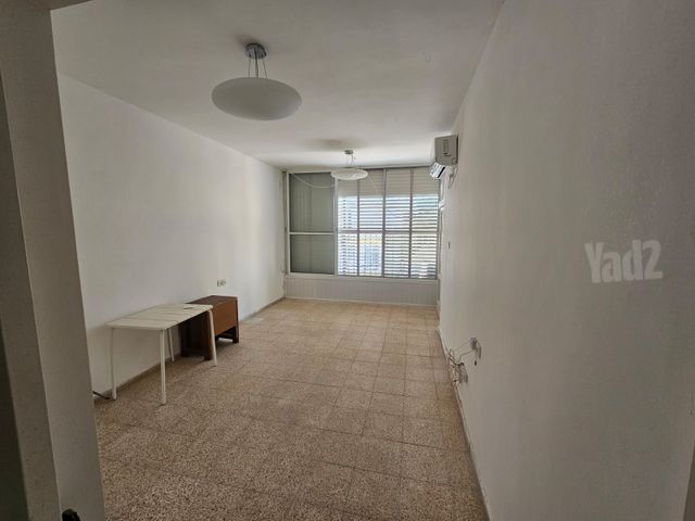הזית 4