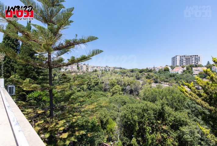 מבצע יונתן 