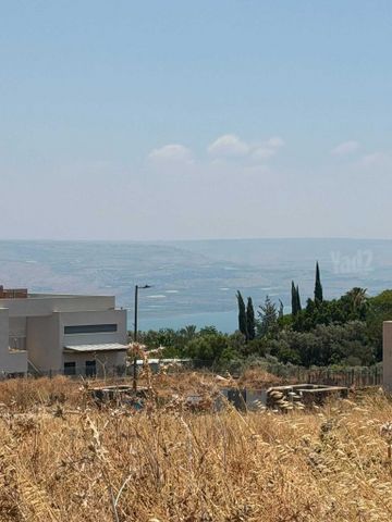 כורזים 1