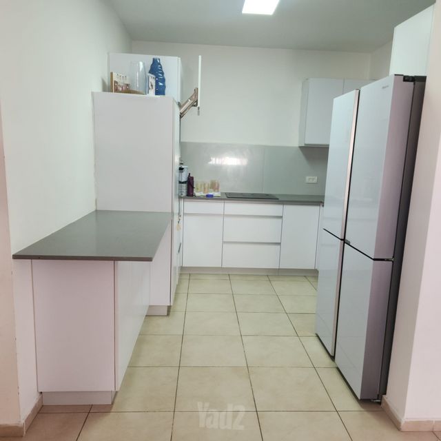 האלמוג 14