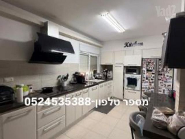 הדקלים 22