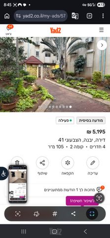 הצבעוני 41
