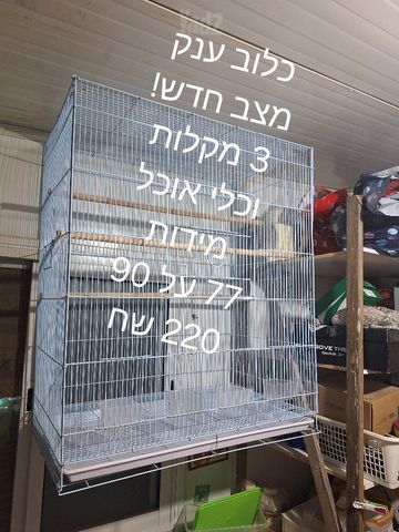 תמונת מודעה - חיות מחמד