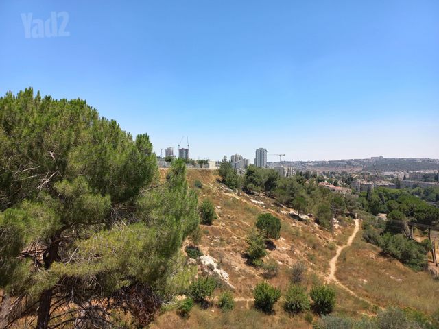 דירה למכירה בירושלים — 3