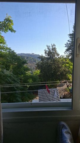 עמנואל אולסבנגר 114