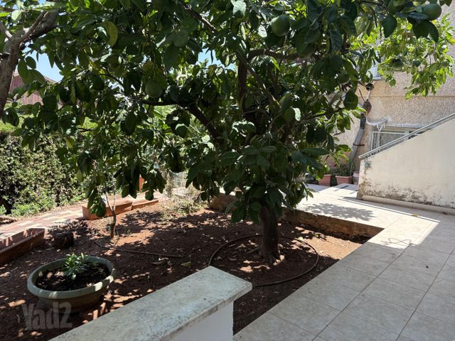 היקינטון 9