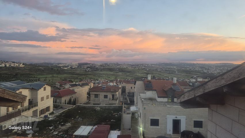 אחלמה 8