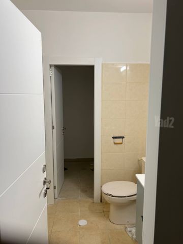 שבטי ישראל 9