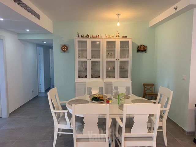 השחף 15