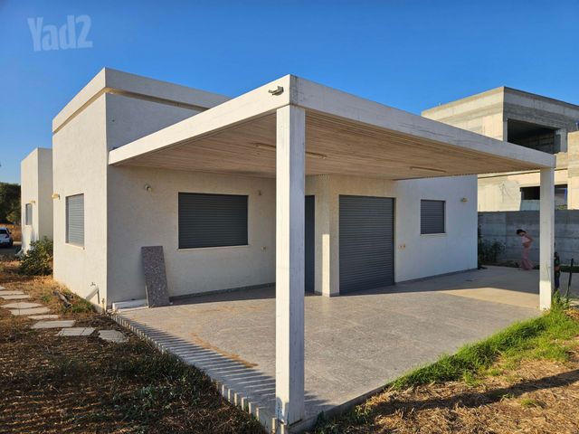 נורית 1