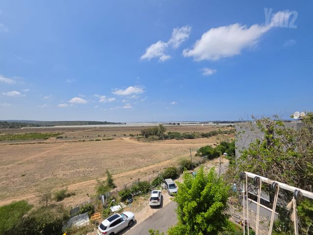 דוד בן גוריון 246