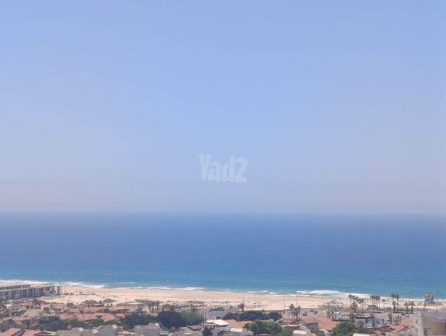 כינור 18