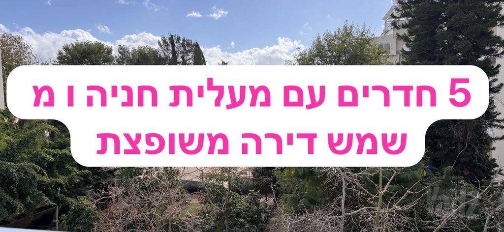 רמב"ם