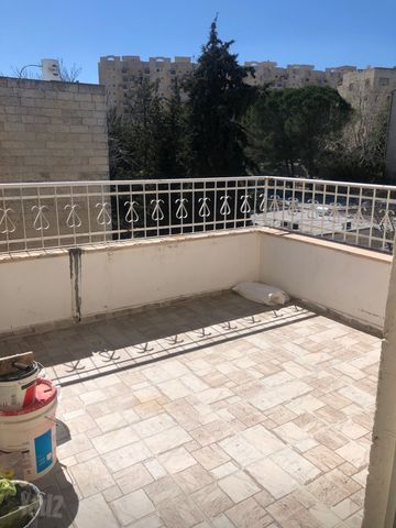 צאלים 