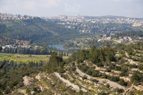 משק חקלאי/ נחלה, בית זית, בית זית