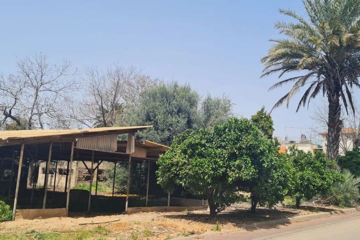 בית זית