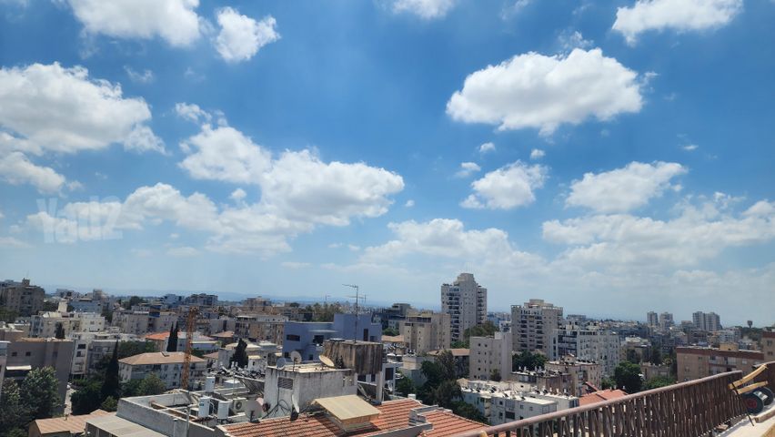 הרצל 