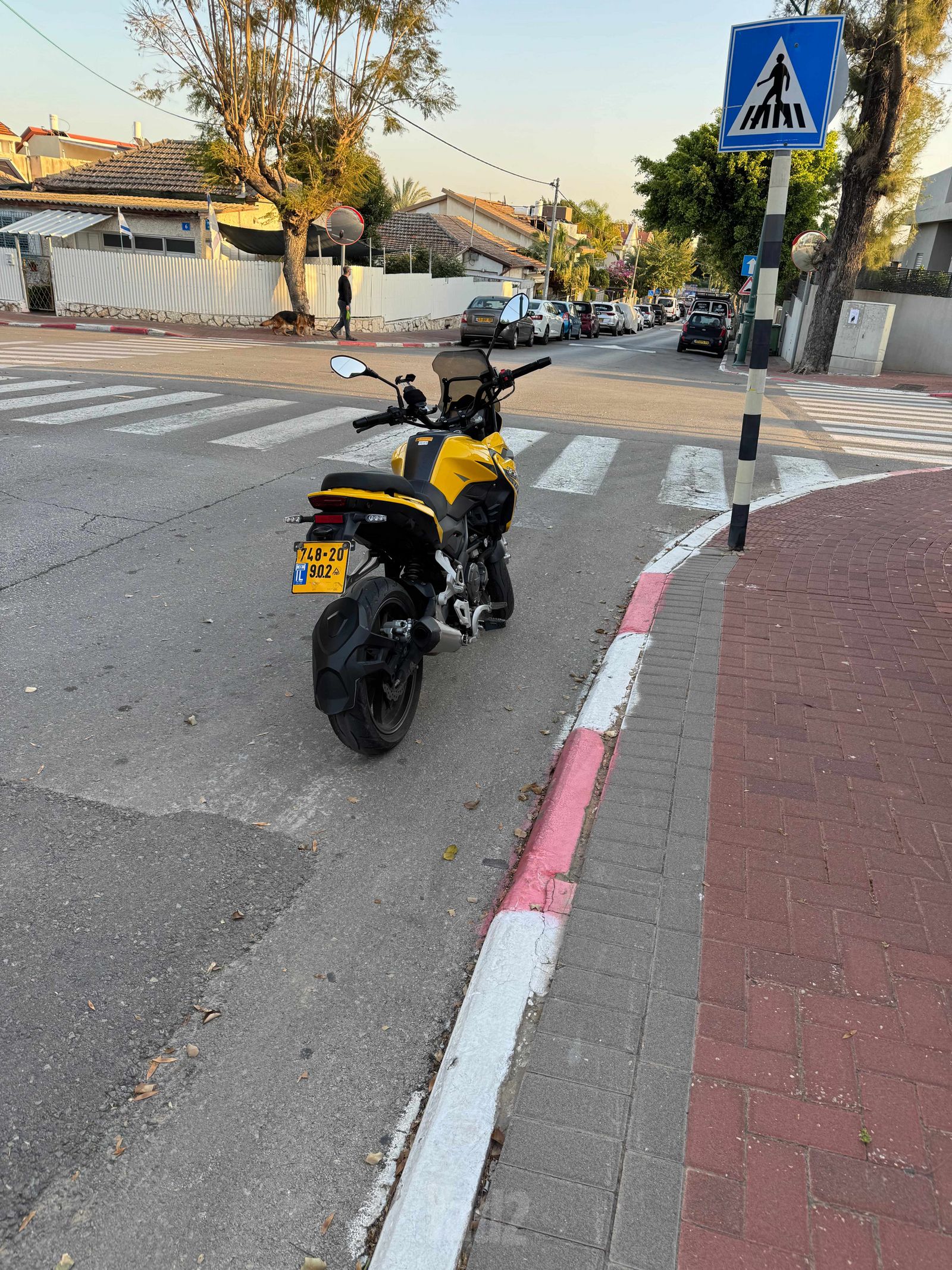 בנלי TRK251