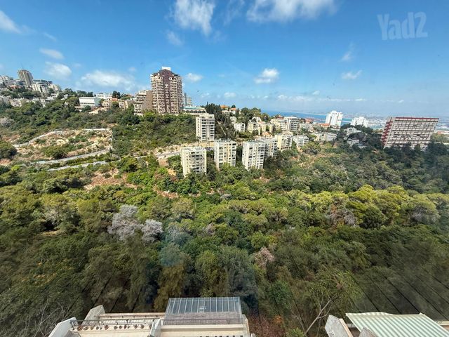 זאב שוהם 43