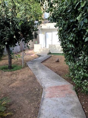 המעפילים 18