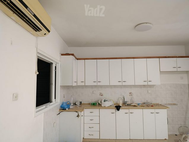ביאליק 24
