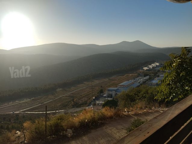 דוד אלעזר 215