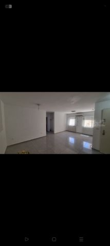 נזר דוד 24